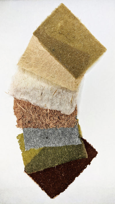 Papermaking with Local Plants