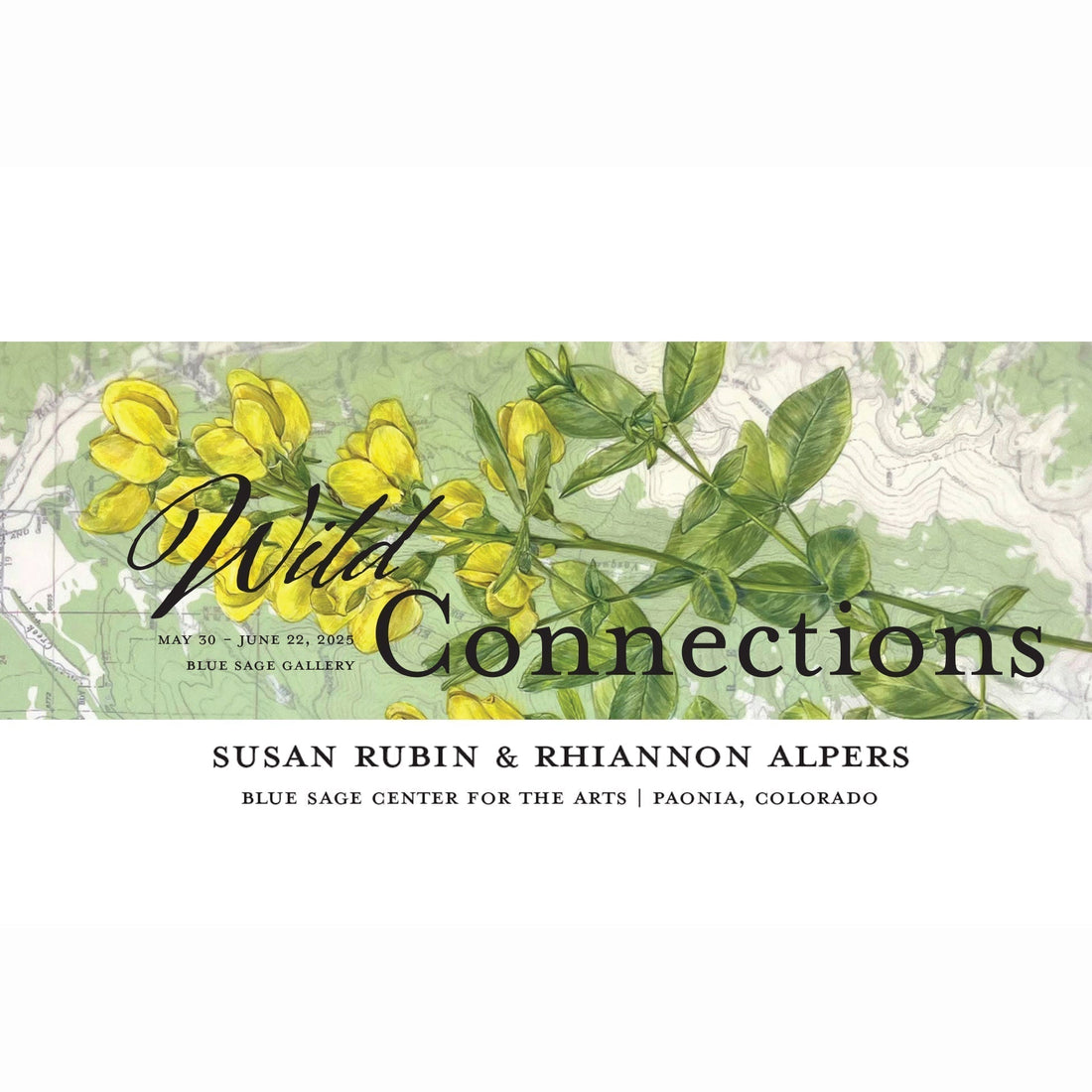Wild Connections | Blue Sage Center for the Arts
