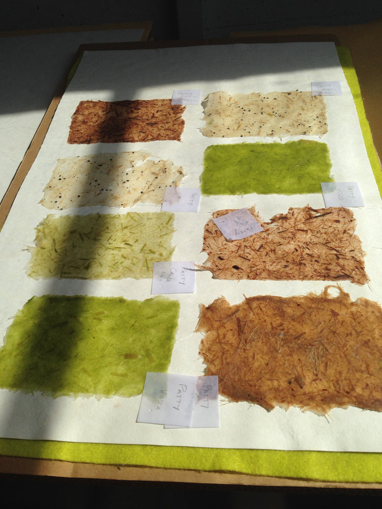 Papermaking with Local Plants | June 13-14, 2026