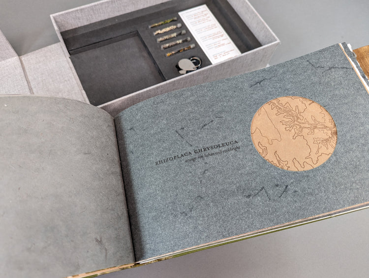 Lichen: Rambles in the Colorado Front Range