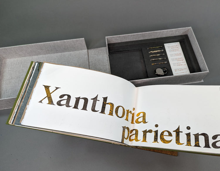 Lichen: Rambles in the Colorado Front Range