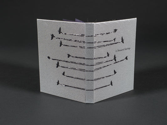 A Thousand Starlings