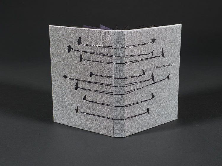 A Thousand Starlings