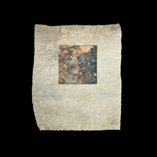 Abaca Dimensional Broadside / Cryptothele Series (Lichen)