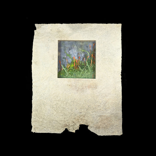 Abaca Dimensional Broadside / Bryophyte Series (Moss)