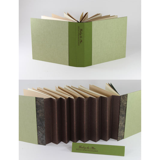 Finding Her Place: The Woman Behind the Naturalist