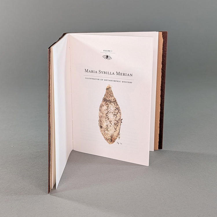 Remnants: Trade Edition Digital Book