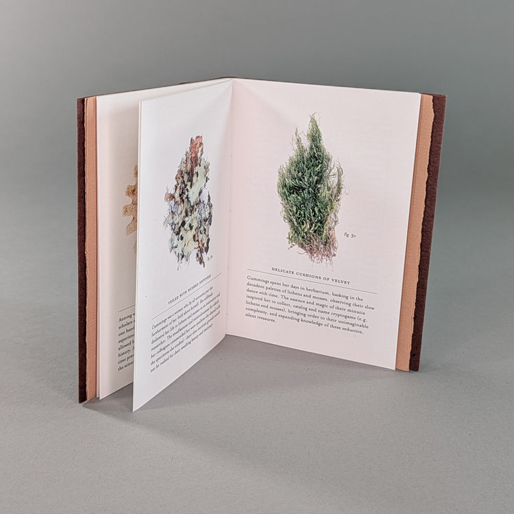 Remnants: Trade Edition Digital Book