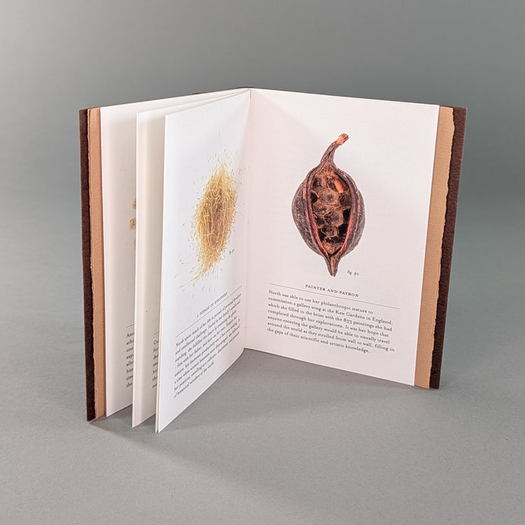 Remnants: Trade Edition Digital Book