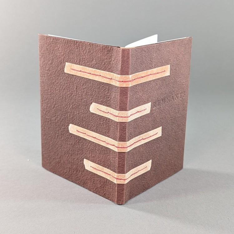 Remnants: Trade Edition Digital Book