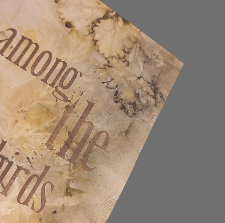 Among the Birds | Female Naturalist Series Broadside