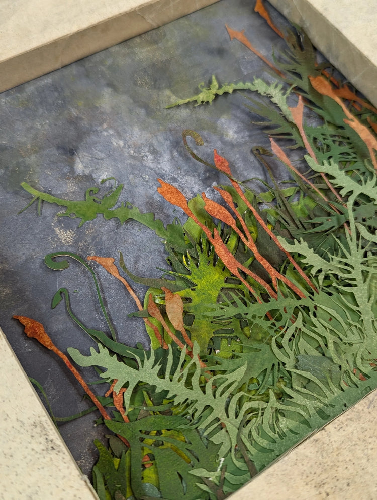 Abaca Dimensional Broadside / Bryophyte Series (Moss)