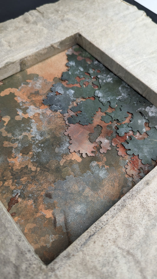 Abaca Dimensional Broadside / Cryptothele Series (Lichen)