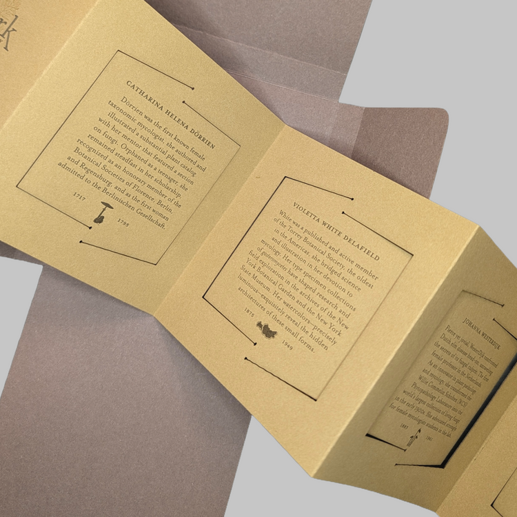 Fieldwork:Madames of Mycology