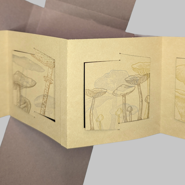 Fieldwork:Madames of Mycology