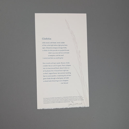 Gladiolus Broadside by Jen Grace Stewart