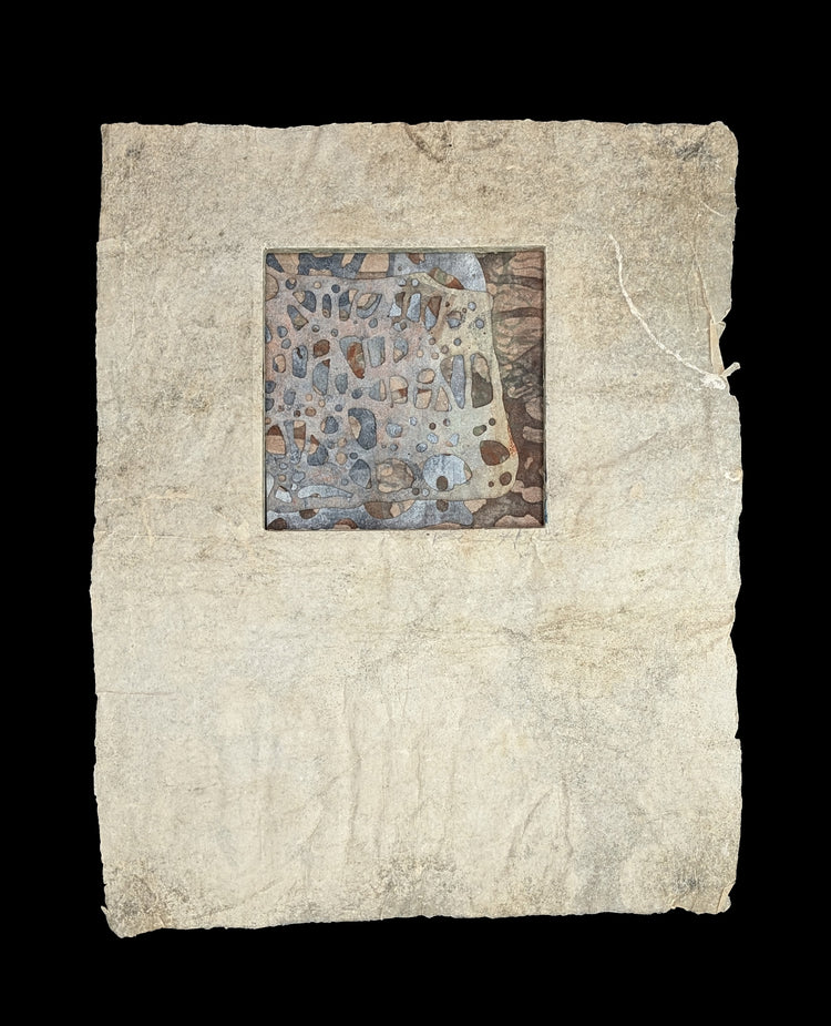 Abaca Dimensional Broadside / Cryptothele Series (Lichen)