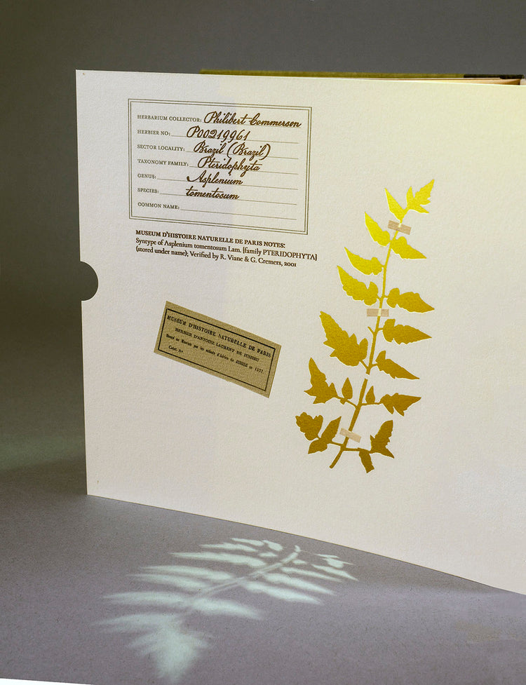 Finding Her Place: The Woman Behind the Naturalist
