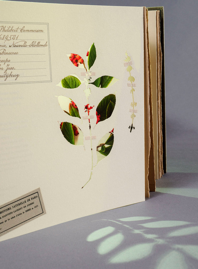 Finding Her Place: The Woman Behind the Naturalist