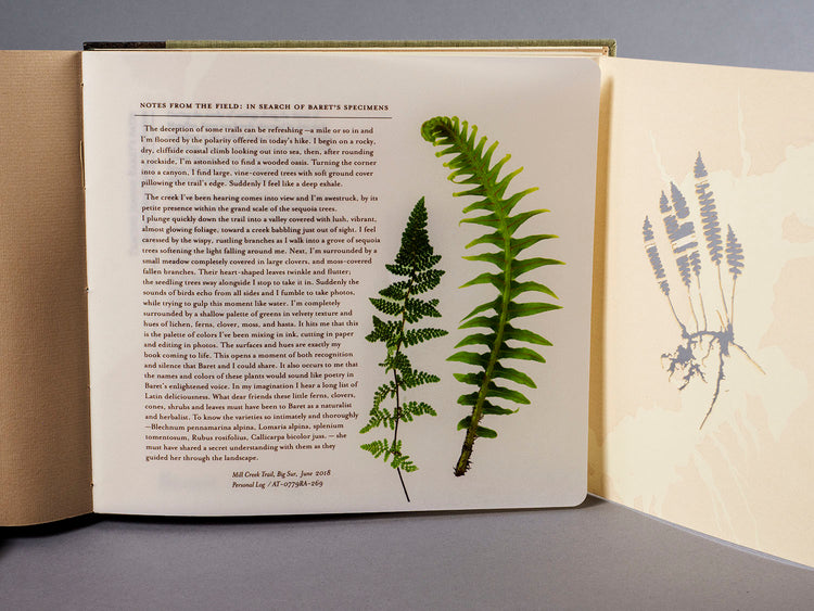 Finding Her Place: The Woman Behind the Naturalist