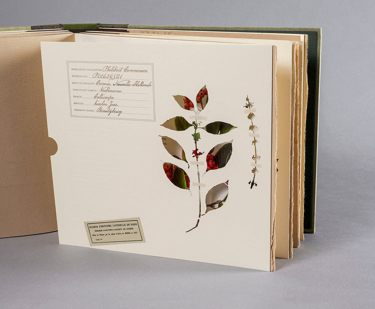 Finding Her Place: The Woman Behind the Naturalist