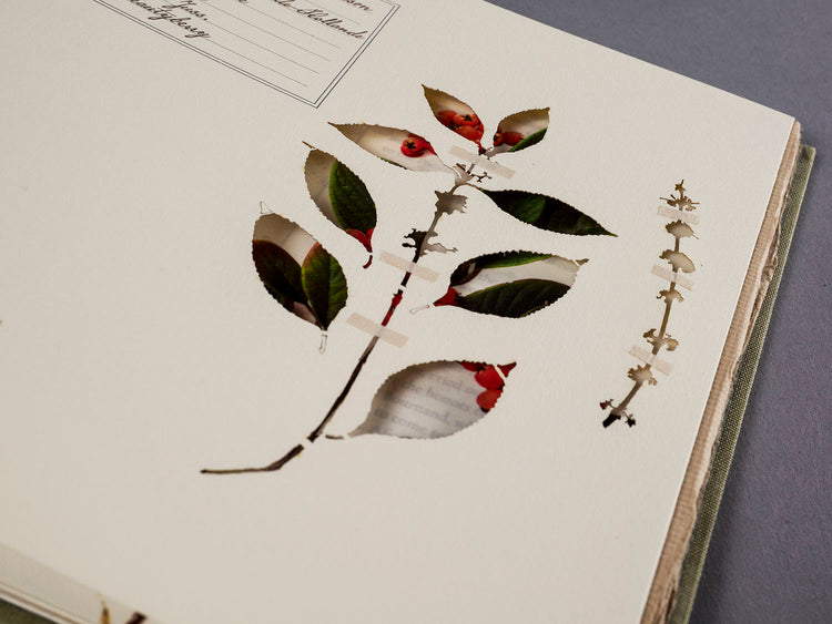 Finding Her Place: The Woman Behind the Naturalist
