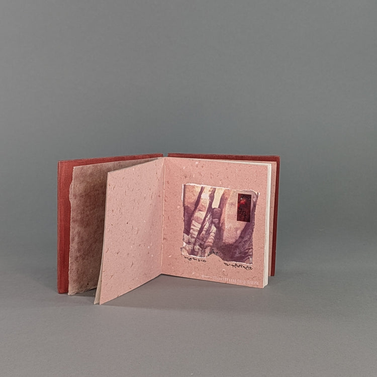 Dreamscape Dictionary