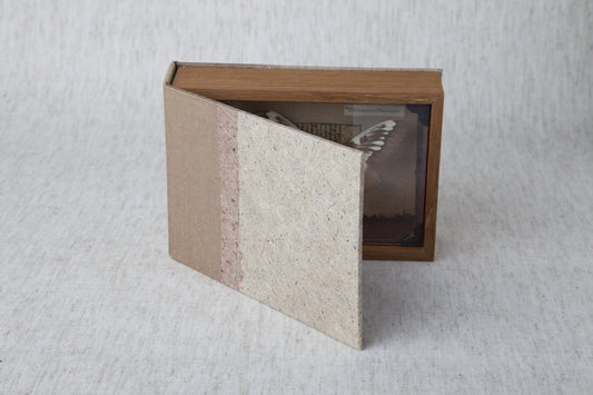 Curiosity Series: Citherona splendens