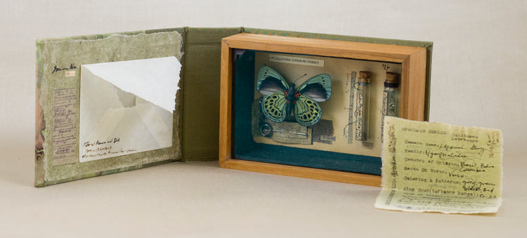 Curiosity Series: Callithea leprieuri