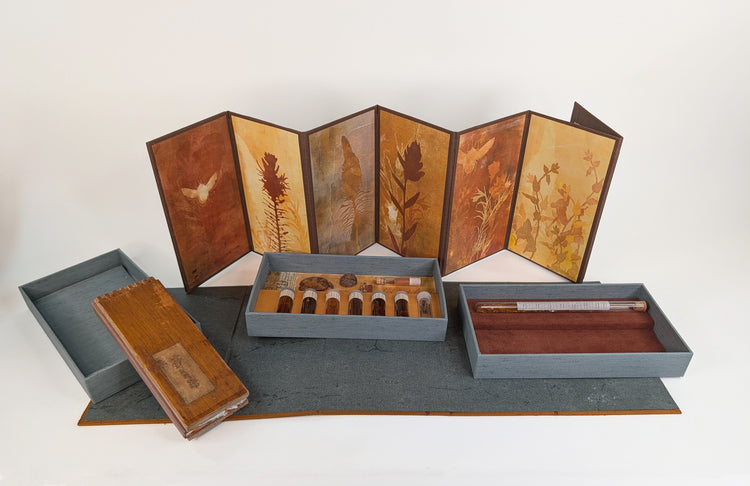 Ochre Color Experiments: Version 3 (2026)