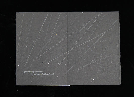 A Thousand Starlings