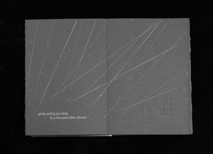 A Thousand Starlings