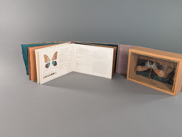 Curiosity Series: Pyrops pyrorhyncha