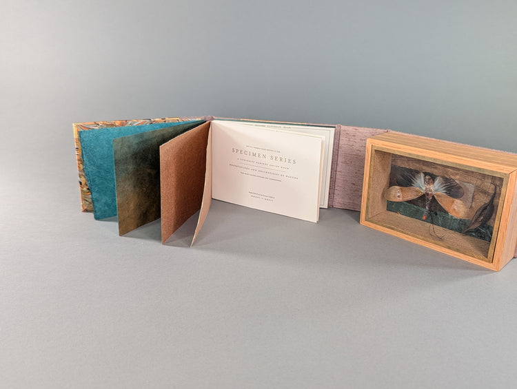 Curiosity Series: Pyrops pyrorhyncha