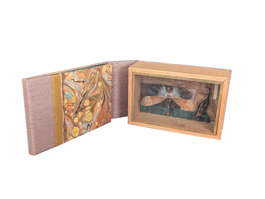 Curiosity Series: Pyrops pyrorhyncha