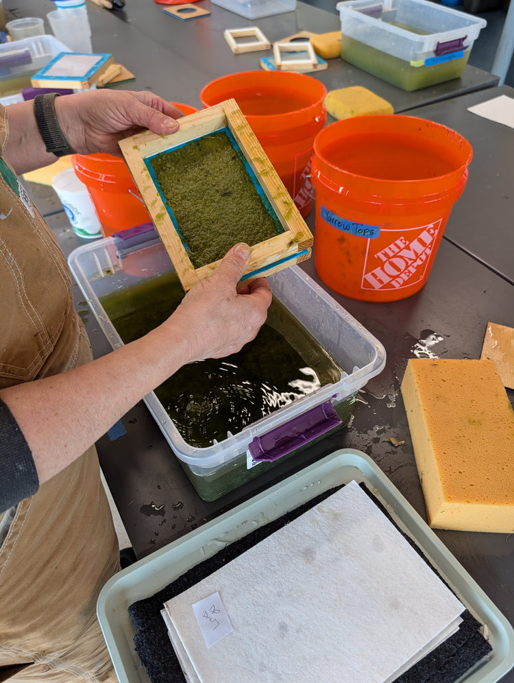 Papermaking with Local Plants Intensive | July 25-26,2026