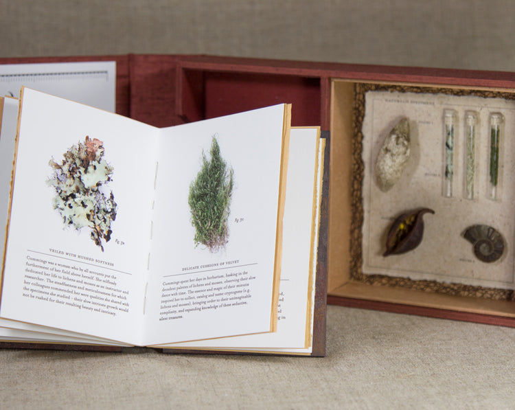Remnants: Limited Edition Artist Book