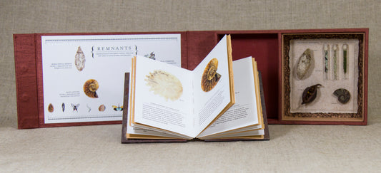 Remnants: Limited Edition Artist Book