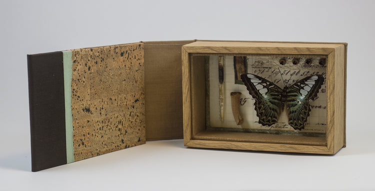 Curiosity Series: Parthenos sylvia