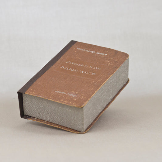 Specimen Series: Cyrestis strigata