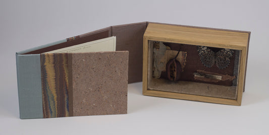 Curiosity Series: Hamadryas amphinome