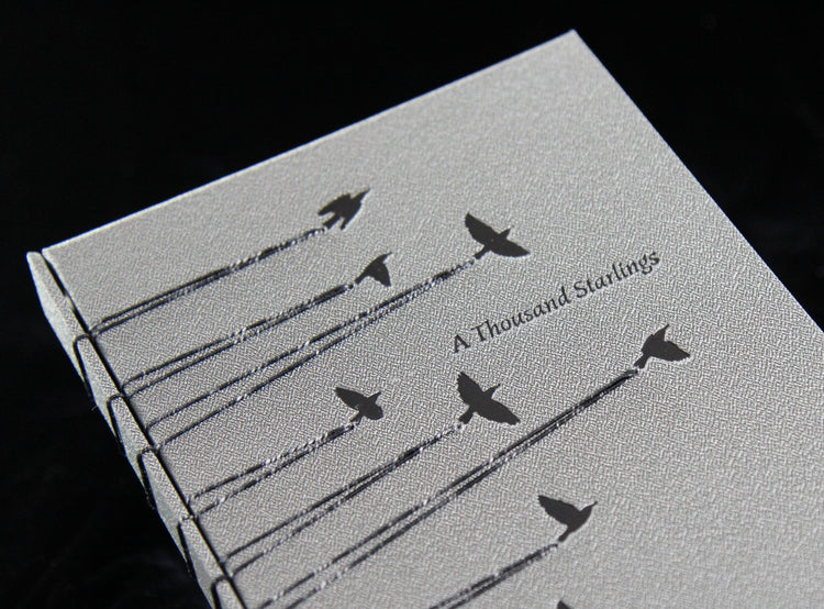 A Thousand Starlings