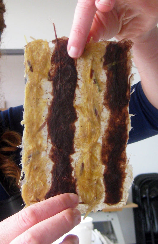 Papermaking with Local Plants | June 13-14, 2026