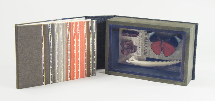 Curiosity Series: Panacea pola