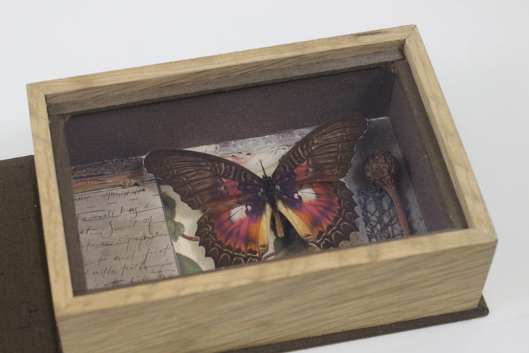 Curiosity Series: Marbled Madame of Binding