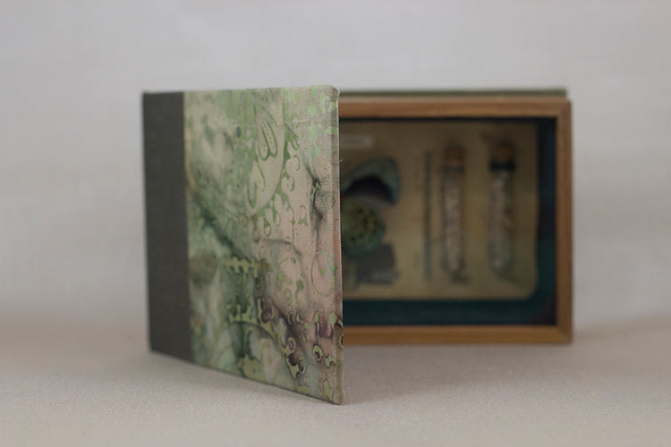 Curiosity Series: Callithea leprieuri