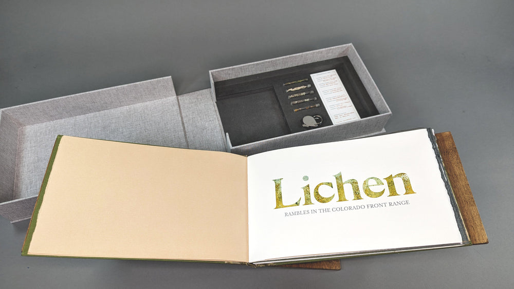 Looking at Lichen through 500 years of Botanical Art