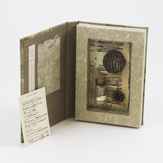 FOBA Miniature Specimen Workshop / Resources