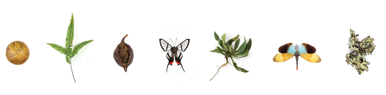 Eco Printed Artwork