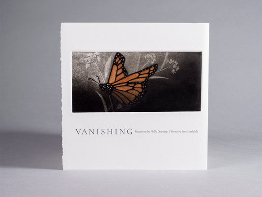 Vanishing